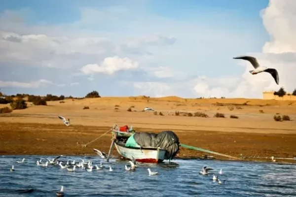 1168337732-بحيرة-قارون