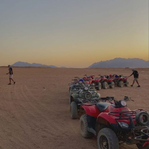 Desert Meets the Deep – Abu Galum Safari & Blue Hole Adventure