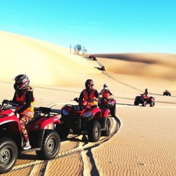 MEGA SAFARI: Ride, Roar & Explore!