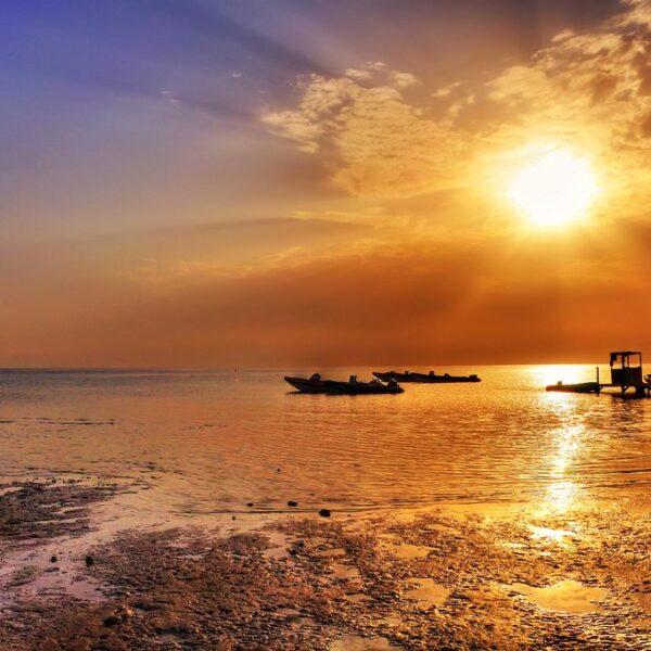 ELITE VIP SUNSET - RMF