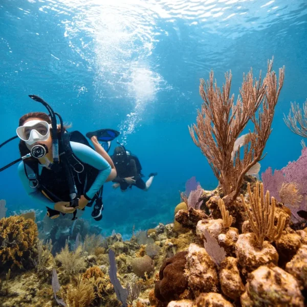 DIVING DAILY - RMF ( Scuba Diving 2 Days )