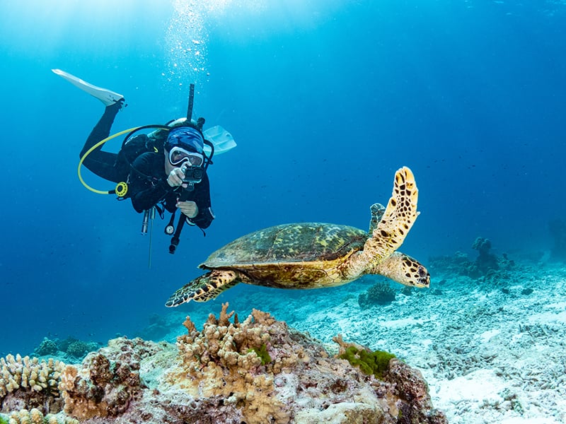 book-a-scuba-diving-excursion-in-margaritaville-beach-resort