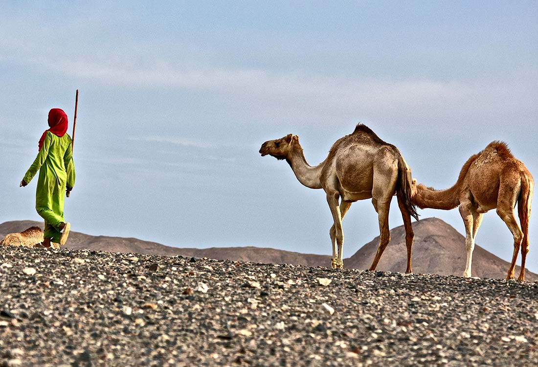 gorgonia-beach-resort_marsa-alam_red-see_wadielgemal_gallery-12