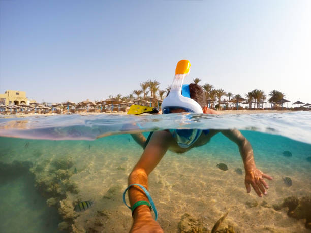 istockphoto-827963204-612x612