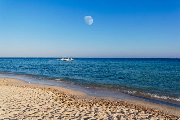 istockphoto-876519126-612x612