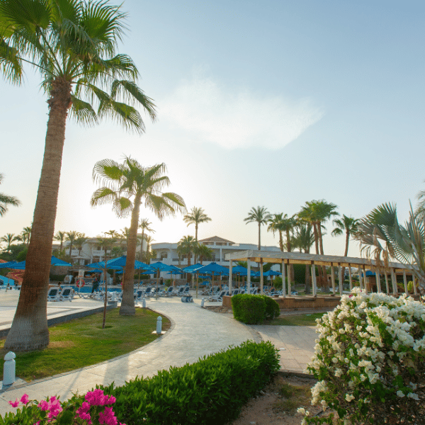 Naama Bay Hotel & Resort