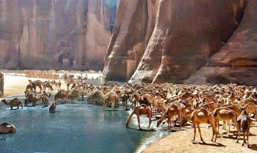 wadi-el-gemal-national-park_840x500_2842
