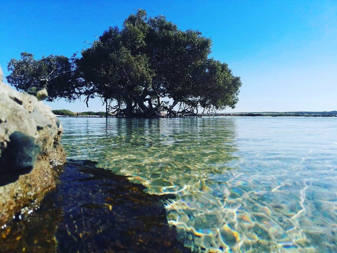 wadi-el-gemal-national