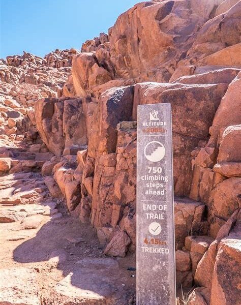 Sharm El Sheikh, St. Catherine's Monastery, Mount Moses, and the Seven Girls Monastery Religious program 4 days / 3 nights