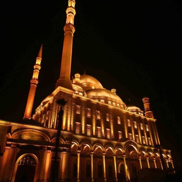 Full-Day Tour: Pyramids, Egyptian Museum & Saladin Citadel