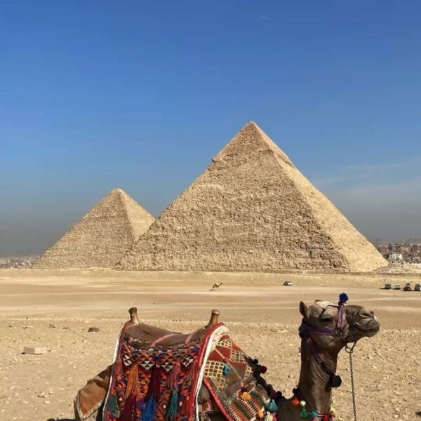 From Beach to History – Cairo Day Excursion from Sharm El Sheikh