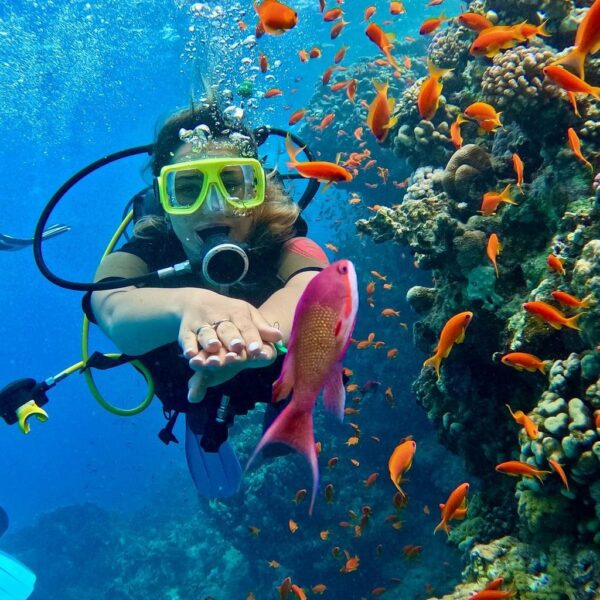 Hurghada Luxor Aswan Cairo Program (Hotels) 11 days / 10 night