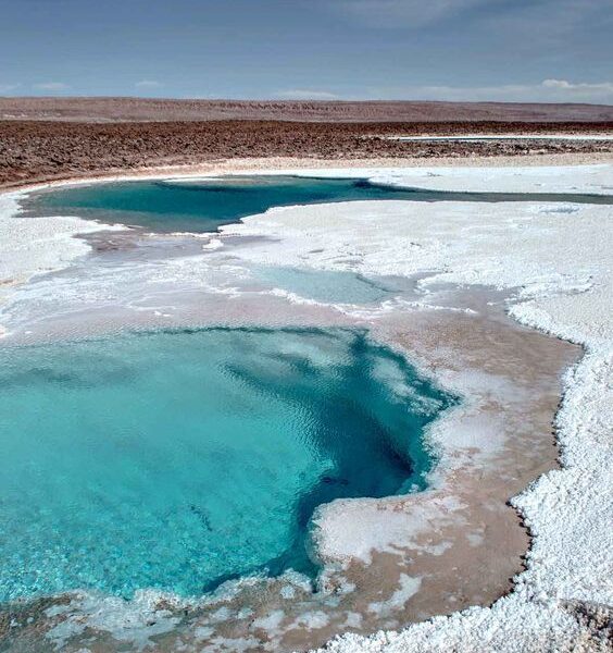 Siwa Program 5 days / 4 nights