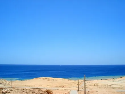 resize_18add_lg