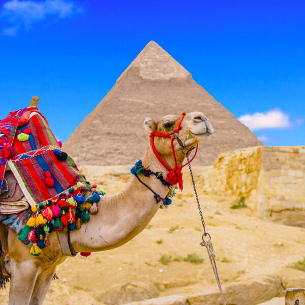 Cairo White Desert and Black Desert Aswan Luxor Hurghada 10 days / 9 nights program