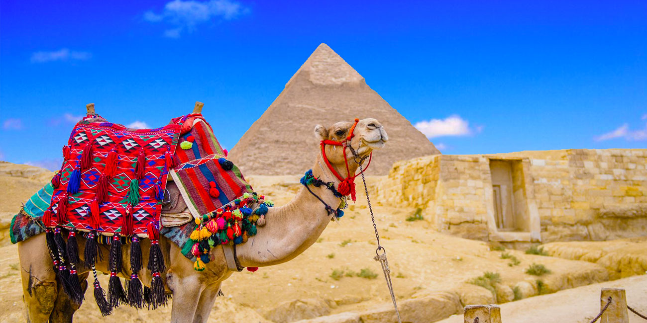 6 Days Cairo, Alexandria, Luxor & Abu Simbel Vacation - Trips in Egypt