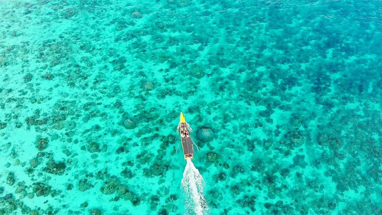 Atauro-Dive-Resort-1