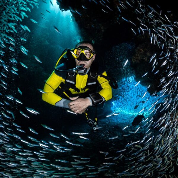 7 Days Diving Safari – North & Wrecks (Hurghada – Sharm El Sheikh)