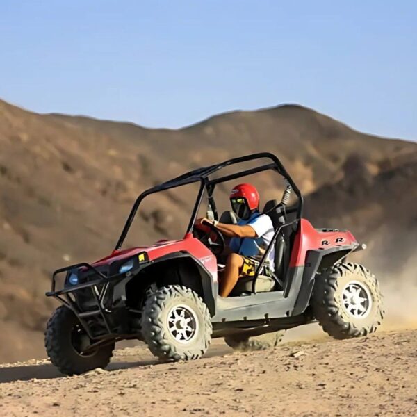 BUGGY SAFARI