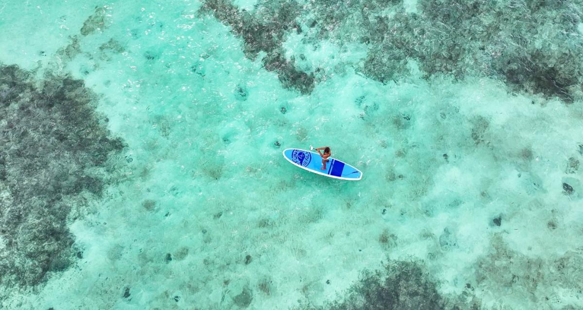 aerial-view-paddleboarding-ocean