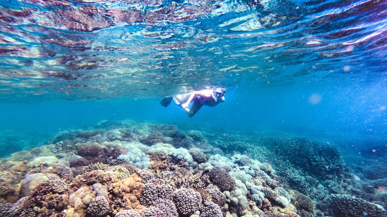 cbdc33d1e45ae647ed44e4c5c594c567