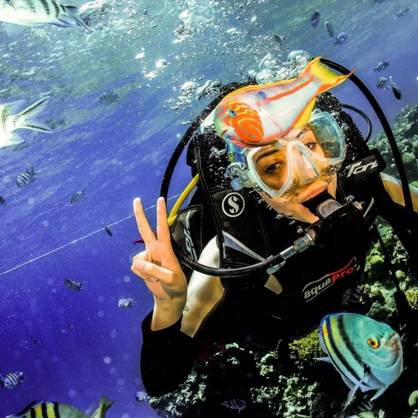 7 Days Diving Safari – North & Wrecks (Hurghada – Sharm El Sheikh)