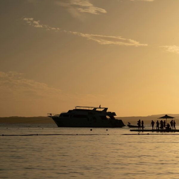 Night Fishing Experience Sharm El Sheikh